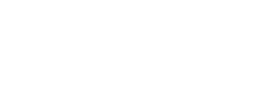 msl carpentry logo upscaled white